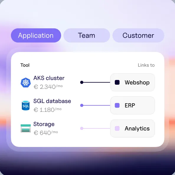 Costs mapped per application, team and customer